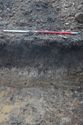 Thumbnail of A photograph of the south-west facing representative section of trench 10, facing north-east, scale 1x1m (2 of 3)