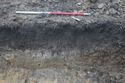 Thumbnail of A photograph of the south-west facing representative section of trench 10, facing north-east, scale 1x1m (3 of 3)