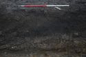 Thumbnail of A photograph showing the south facing representative section of trench 7, facing north, scale 1x1m (1 of 2)