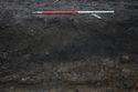 Thumbnail of A photograph showing the south facing representative section of trench 7, facing north, scale 1x1m (2 of 2)