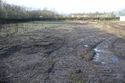 Thumbnail of A photograph of the site post-excavation and backfilling, facing west