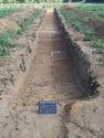 Thumbnail of Trench 17