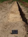 Thumbnail of Trench 28