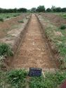 Thumbnail of Trench 19