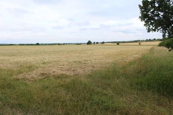 Image from Images and GIS Data from an Archaeological Evaluation north-west of Red House Farm, Double Bank Lane, Woodwalton, Cambridgeshire, July 2022