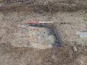 Thumbnail of Bioturbation TR 362