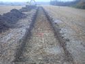 Thumbnail of TR 357
