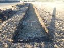 Thumbnail of TR 356