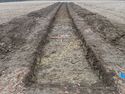 Thumbnail of TR 1147