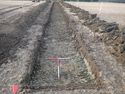 Thumbnail of TR 350
