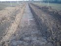 Thumbnail of TR 555