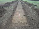 Thumbnail of TR 287