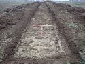 Thumbnail of TR 280