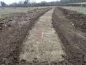 Thumbnail of TR 278