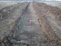 Thumbnail of TR 283
