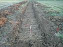 Thumbnail of TR 298