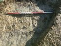 Thumbnail of Plan of Rooting in TR 295 