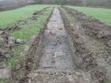 Thumbnail of TR 311