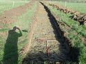 Thumbnail of TR 314