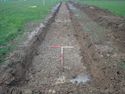 Thumbnail of TR 389