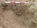 Thumbnail of West facing section of Ditch 161-04 burrow 161-05