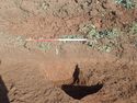 Thumbnail of West facing section of Ditch 1014-04