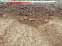 Thumbnail of North facing section of 161-15