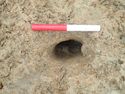 Thumbnail of Plan of post-hole 396-04