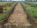 Thumbnail of TR 368