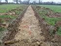 Thumbnail of TR 1151
