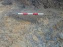 Thumbnail of North-west facing section of ditch 431-04