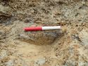 Thumbnail of NW facing section of Post Hole 436-07