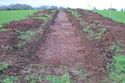 Thumbnail of TR168 