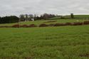 Thumbnail of Area working shot
