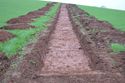 Thumbnail of TR141