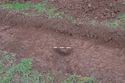 Thumbnail of Location shot of ditch 151-04