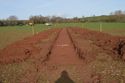 Thumbnail of TR176