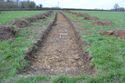Thumbnail of TR1109