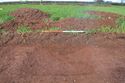 Thumbnail of South facing section of Ditch 171-12 
