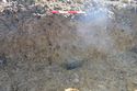 Thumbnail of West facing section of Post Hole 530-04