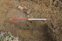 Thumbnail of West facing section of Ditch 1263-04 