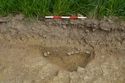 Thumbnail of West facing section of Pit 1226-04 