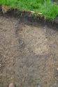 Thumbnail of North facing section of Ditch 1250-06