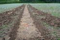 Thumbnail of TR248