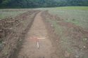 Thumbnail of TR260