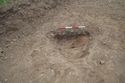 Thumbnail of North facing section of Tree Bole 424-06