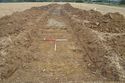 Thumbnail of TR1164