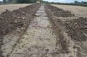 Thumbnail of TR1163