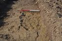 Thumbnail of South facing section of Pit 1163-13 