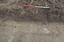 Thumbnail of South-west facing section of Deposit 1162-04